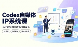 ��19258�ڣ�Codex��ý��IPϵͳ�Σ�IP���/�ȵ�ץȡ/IP���� Skill������������˶�ƽ̨�Զ������̳�